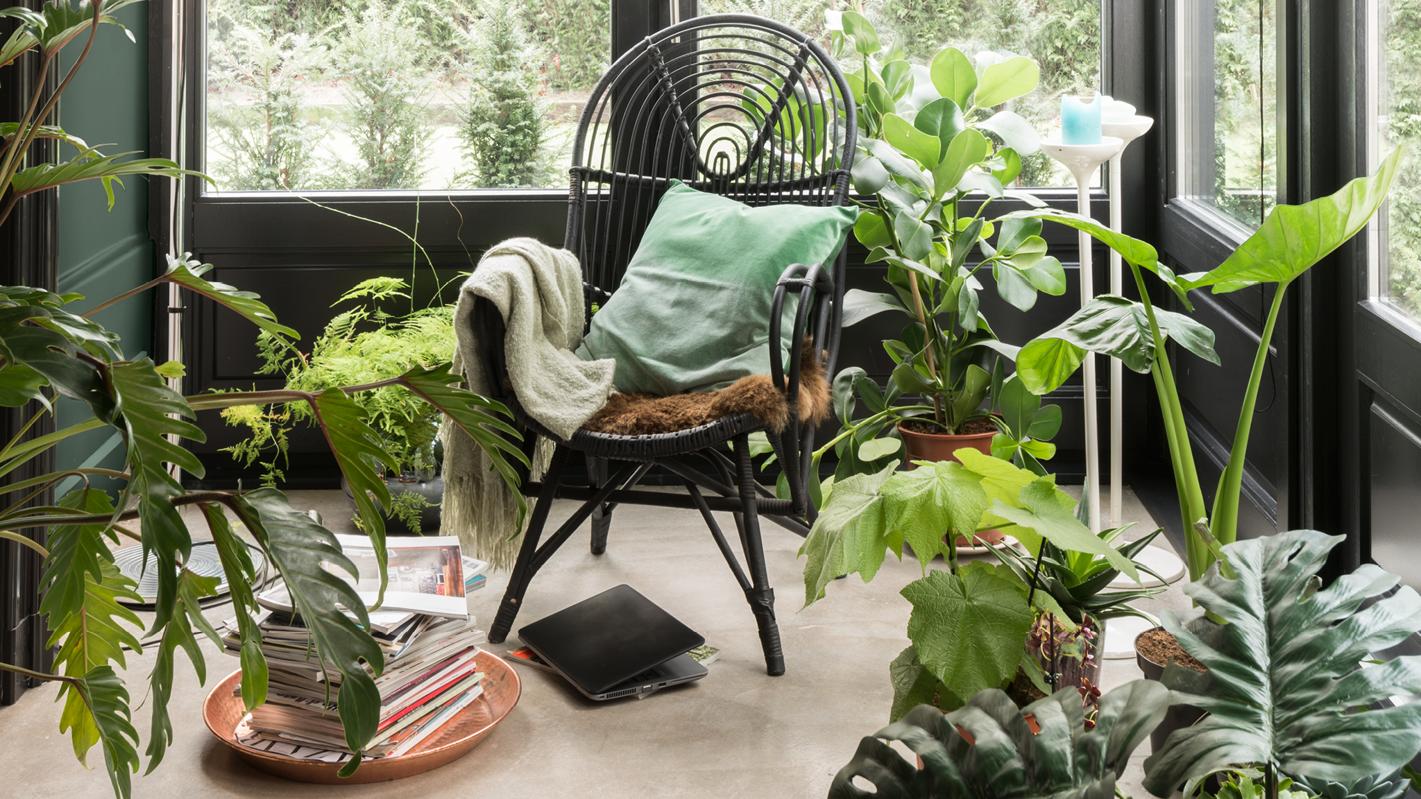 woontrends 2017 kamerplanten Botanische motieven, natuurlijke stoffen en organische materialen voegen zachtheid toe aan binnenruimtes.