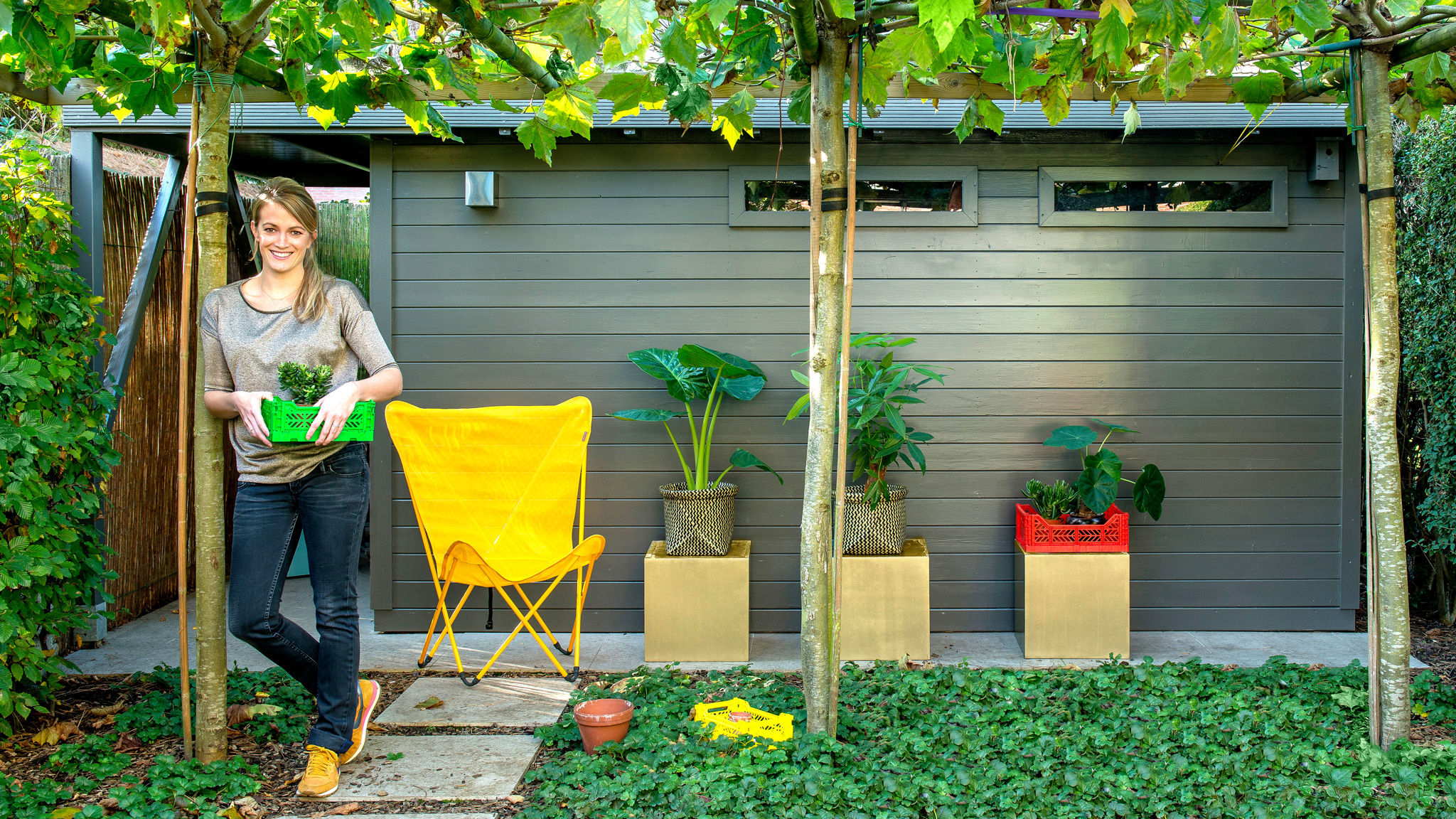 Abri de jardin - peint gris Abri de jardin - peint gris