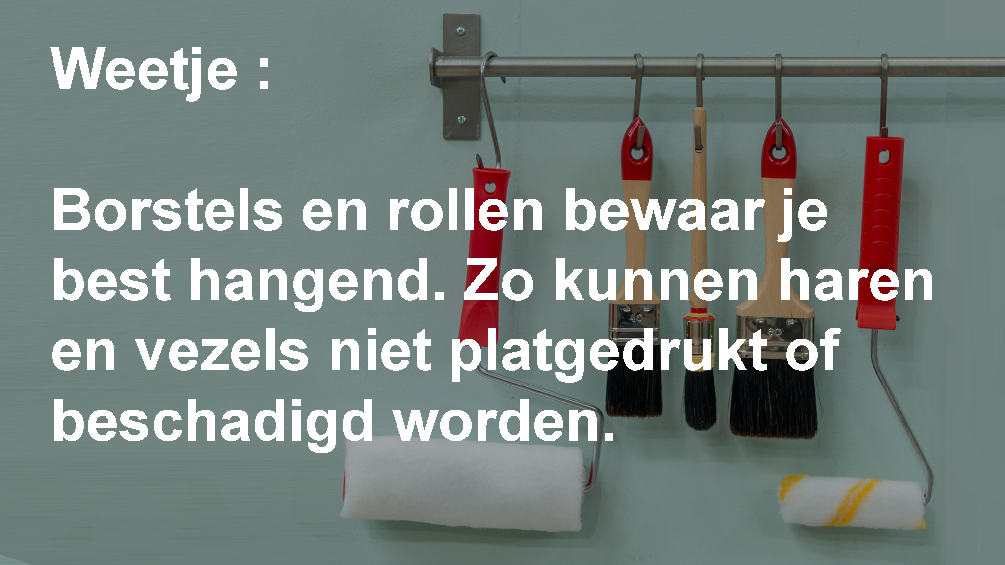 Decoratief advies - borstels & rollers Decoratief advies - borstels & rollers
